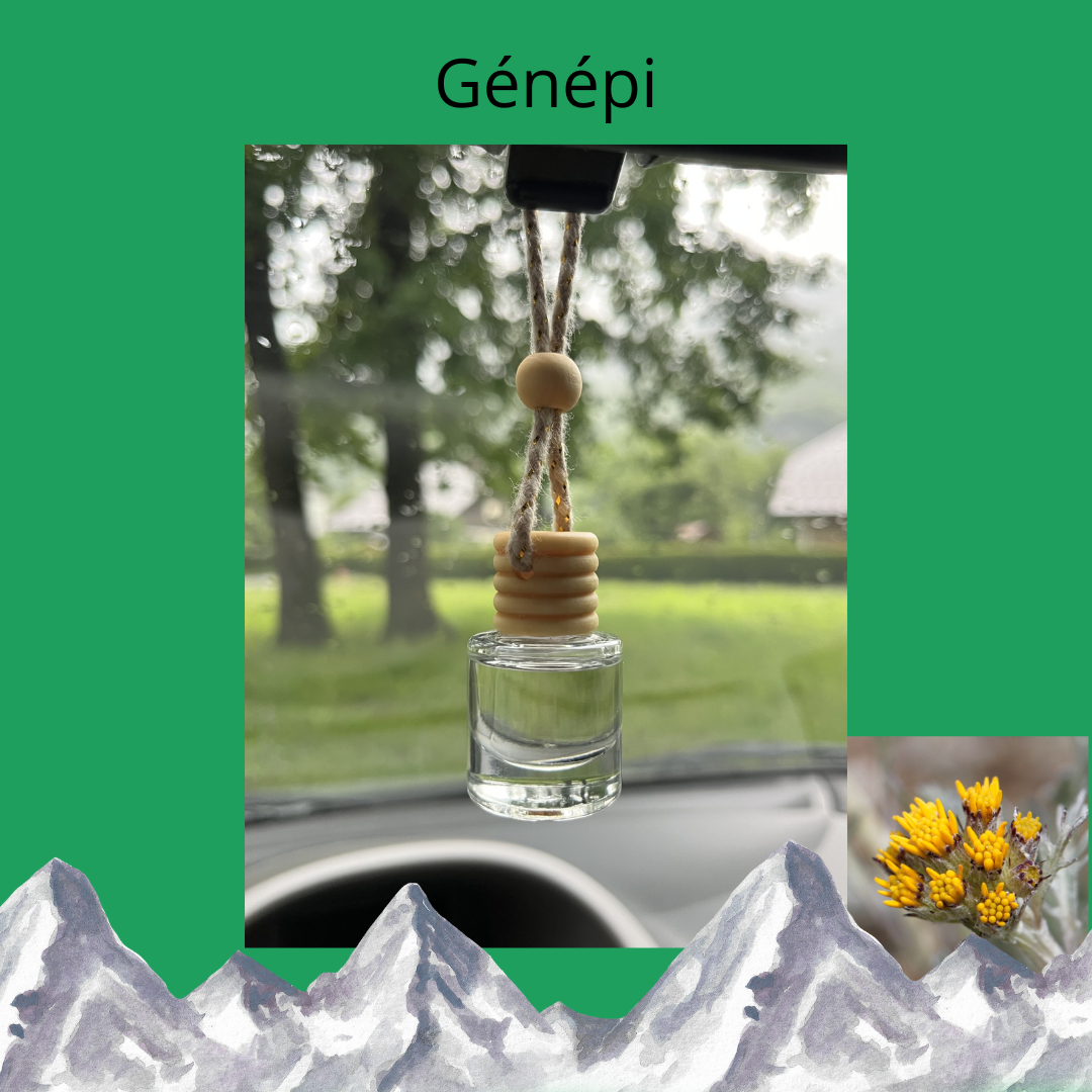 Diffuseur de voiture GENEPI