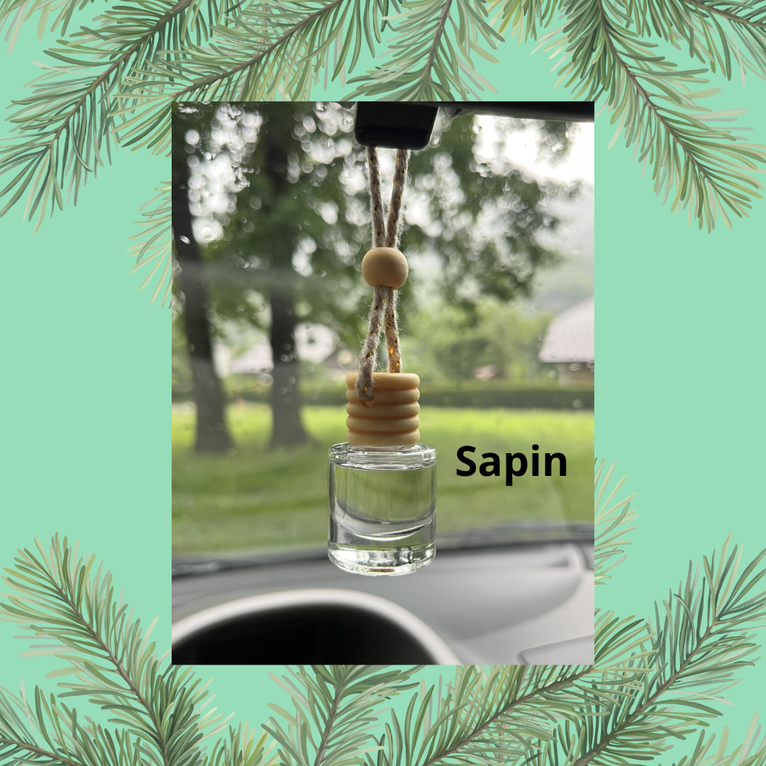 Diffuseur de voiture SAPIN