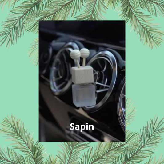 Diffuseur de voiture SAPIN