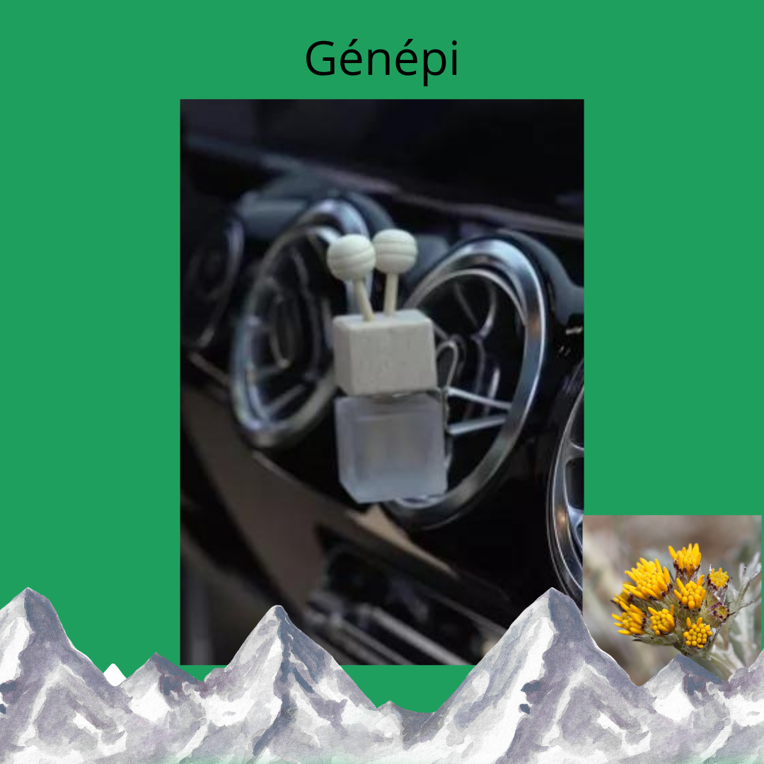 Diffuseur de voiture GENEPI