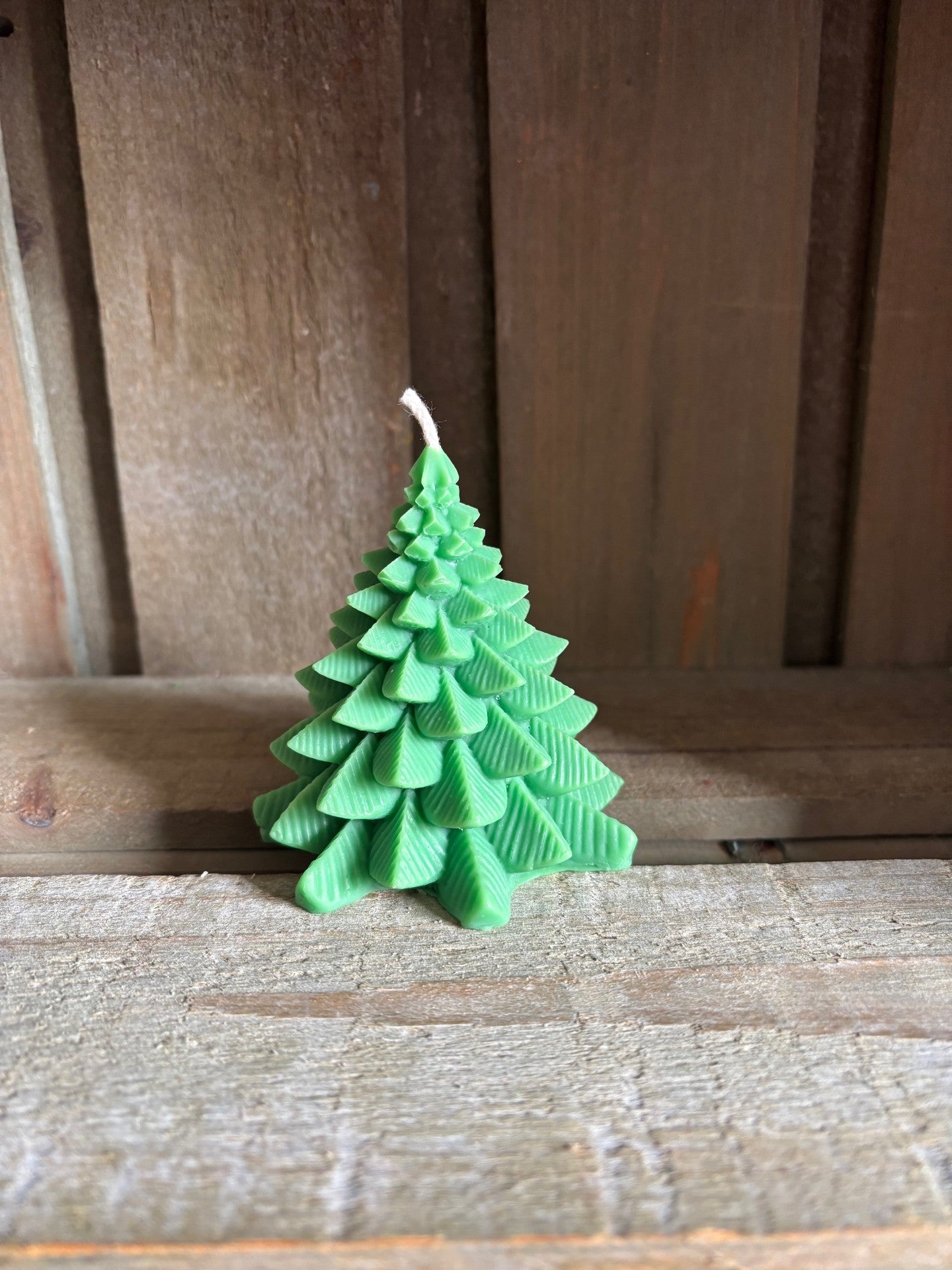 Mon petit sapin vert